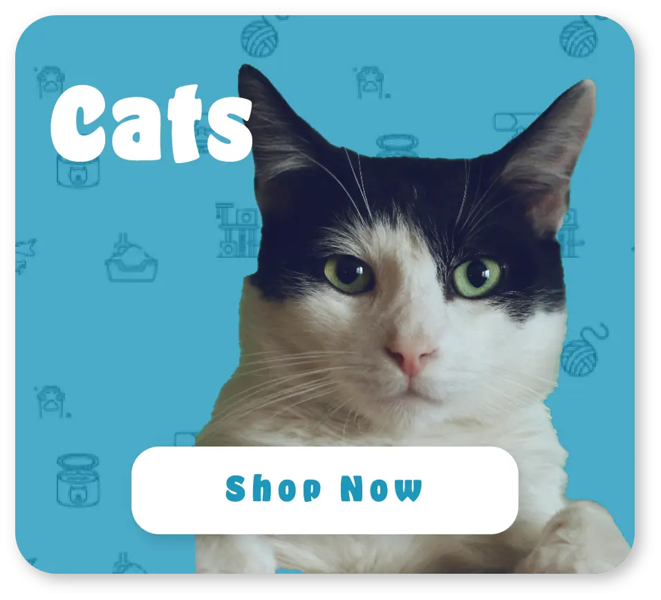 black and white cat on a blue pattern background with a shop now button
